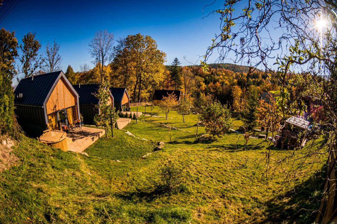 Domandi Mountain Chalet Przesieka
